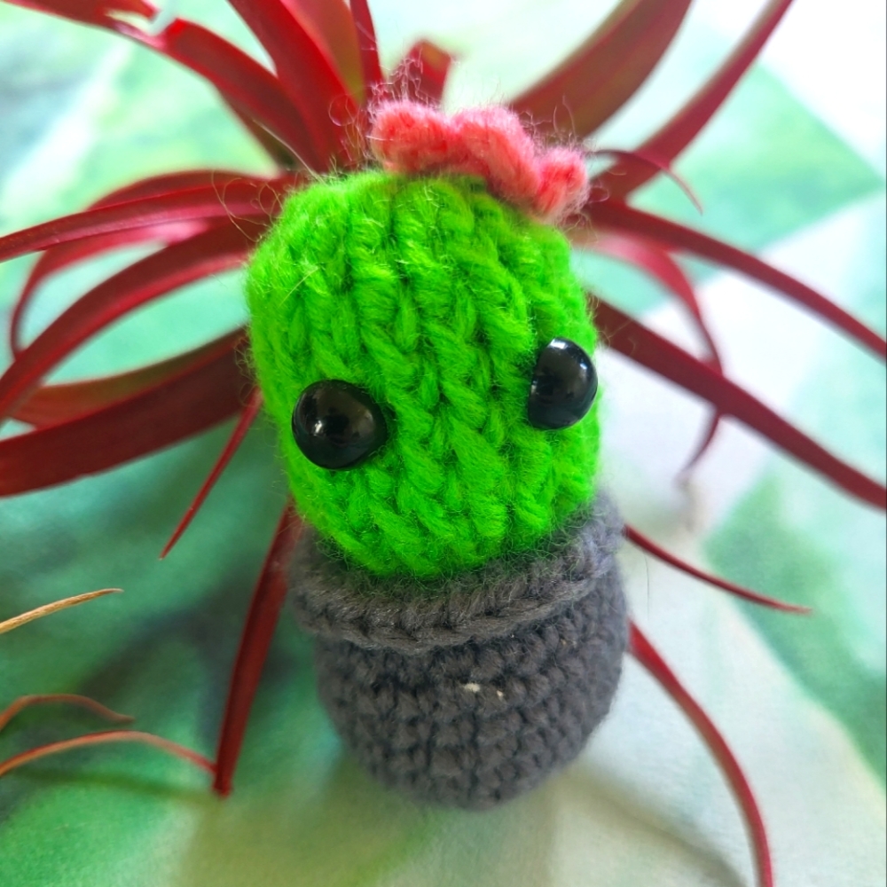 Mini Crochet Cactus Doll
